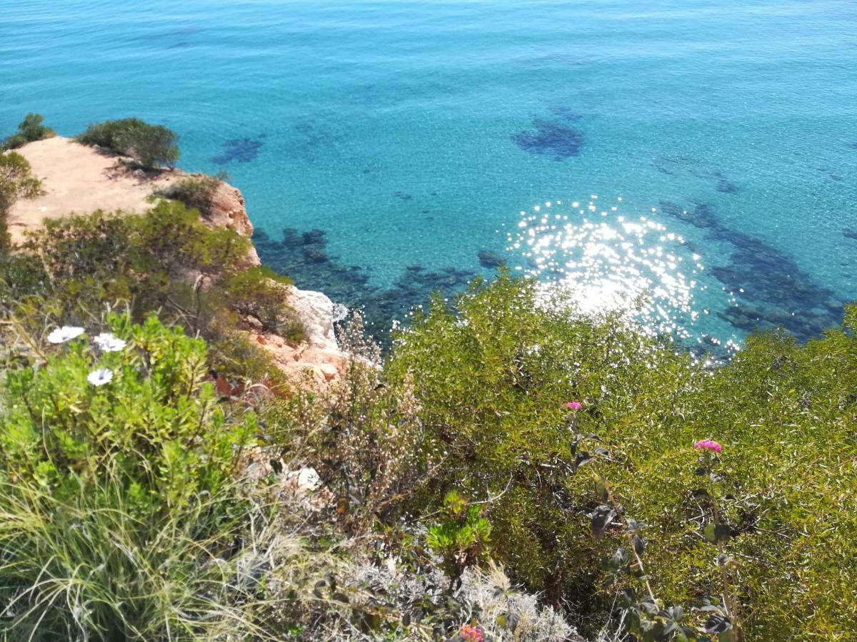 Cabo Roig Bellavista III Exterior foto